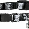 Small Animal Buckle-Down | Buckle-Down Breakaway Cat Collar - Tinker Bell Scenes Black/White - 1/2\" Wide - Fits 9-15\" Neck - Large