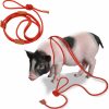 Small Animal Qigeneimu | Qigeneimu Mini Pig Harness And Leash, Adjustable Pig Harness Infinity Style Pig Supplies For Walking And Jogging Pets Also Fits Large, Medium And Small Piggy And Other Small Animals Green