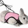 Small Animal PETTOM | Pettom Bunny Rabbit Harness With Stretchy Leash Cute Adjustable Buckle Breathable Mesh Vest Harness And Leash Set For Kitten Small Pets Holland Lop Bunnies Walking (S(Chest:9.8-12.5 In))