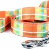 Small Animal Yellow Dog Design | Yellow Dog Design, Madras Orange Dog Leash, Extra Small 3/8\" X 60\" (5 Ft.)