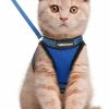 Small Animal rabbitgoo | Rabbitgoo Cat Harness And Leash Set For Walking Escape Proof, Adjustable Soft Kittens Vest With Reflective Strip For Cats, Comfortable Outdoor Vest, Black, Xl