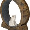 Small Animal laddawan | Laddawan Cat Wheel Exerciser For Indoor Cats Large,Cat Running Wheel , Cat Exercise Wheel ,Small Animals Exercise Wheels Cat Treadmill Wheel With Locking Mechanism (35.4\"(90Cm), Rusty Brown)