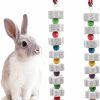 Small Animal Neeenn | Neeenn 2 Pack Large Rabbit Chewing Toy, Bunny Beak Grinding Calcium Stone With Bells, Rabbit Cage Accessories, Cage Toys For Cockatiel Parakeet Parrot Budgies Rat Hamster Chicken Chick African Grey