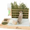 Small Animal Rubor | Rubor Rabbit Hay Feeder With Litter Box, 4 In 1 Wooden Feeder Toilet Combo Feeding Manger For Bunny And Guinea Pig, Small Animals Hay Rack Water Bottle Litter Pan And 2Pcs Bowls With 5Pcs Pee Pads